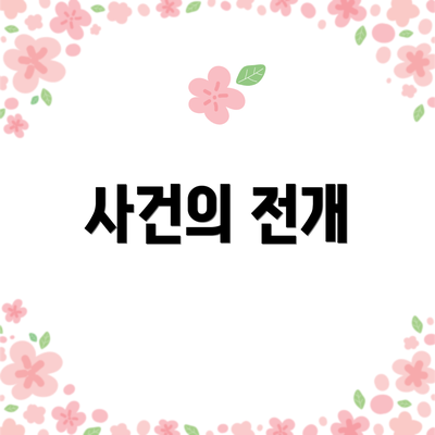 사건의 전개