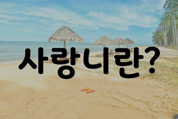 사랑니란?