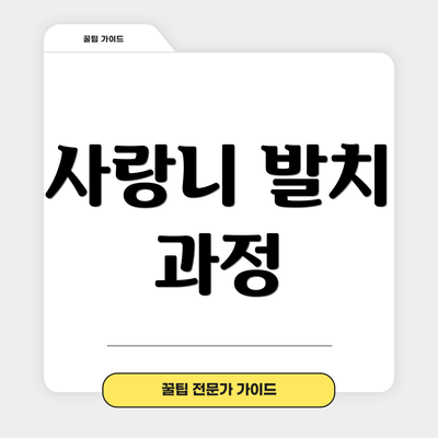 사랑니 발치 과정