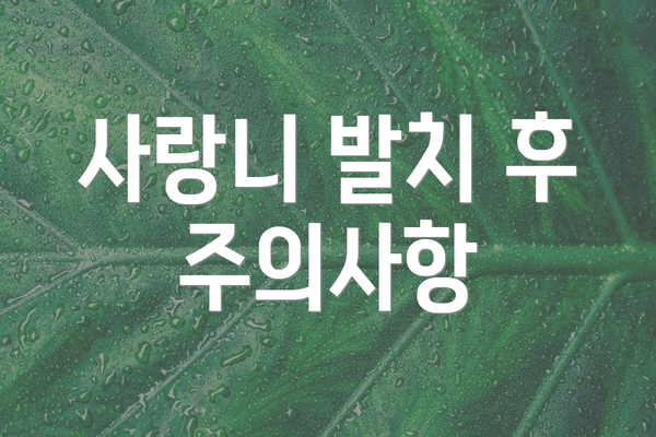 사랑니 발치 후 주의사항