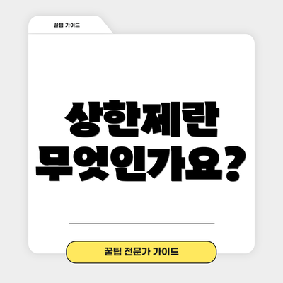 상한제란 무엇인가요?