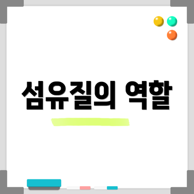 섬유질의 역할