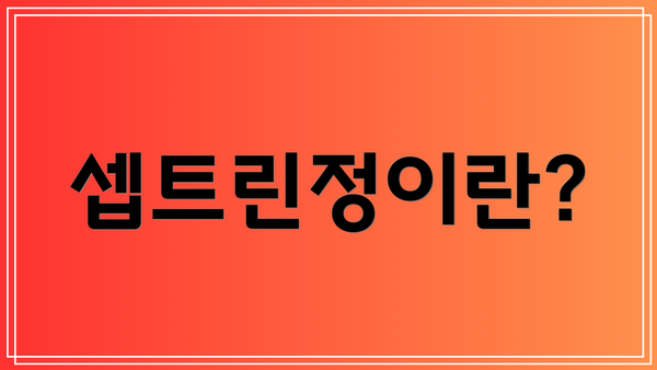 셉트린정이란?