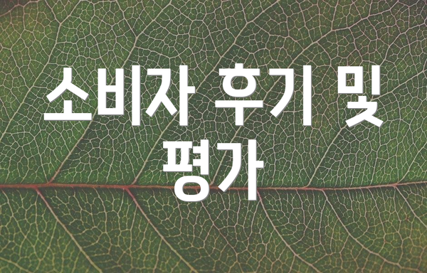 소비자 후기 및 평가
