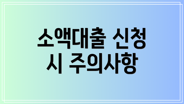 소액대출 신청 시 주의사항