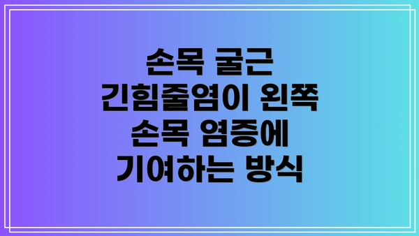 손목 굴근 긴힘줄염이 왼쪽 손목 염증에 기여하는 방식