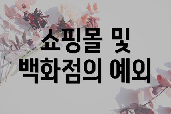 쇼핑몰 및 백화점의 예외