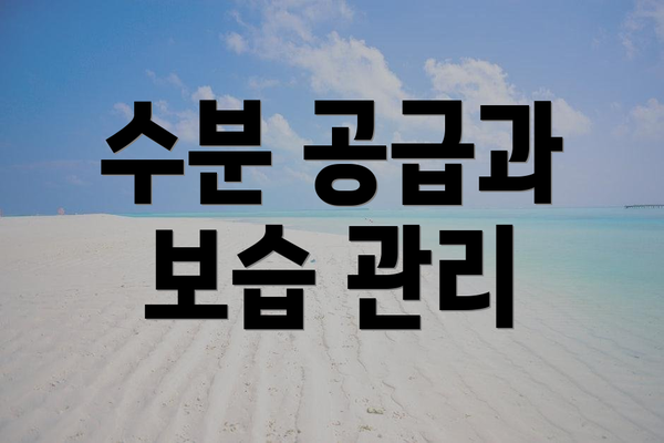 수분 공급과 보습 관리