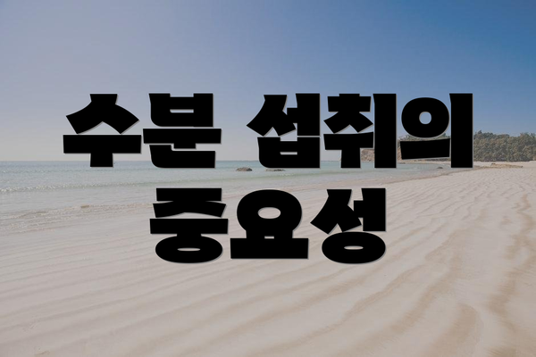 수분 섭취의 중요성