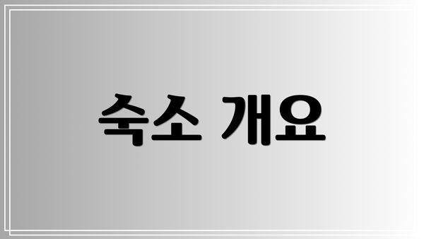 숙소 개요