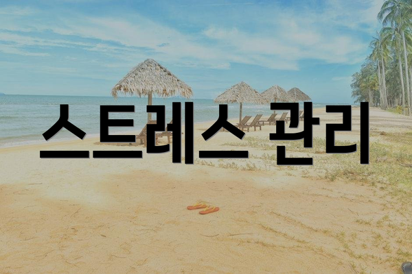 스트레스 관리