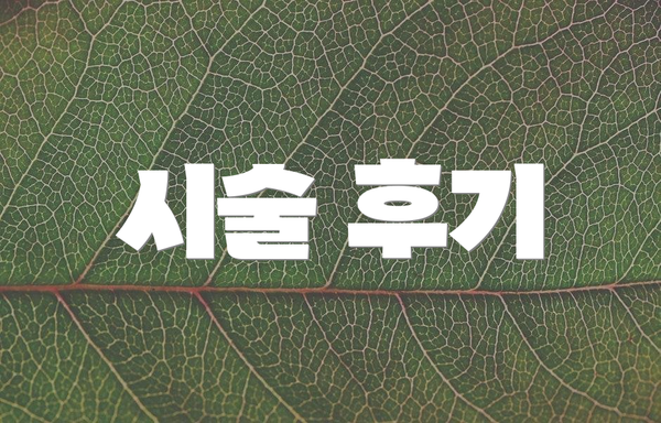 시술 후기