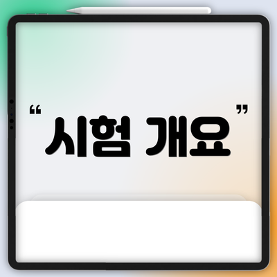 시험 개요
