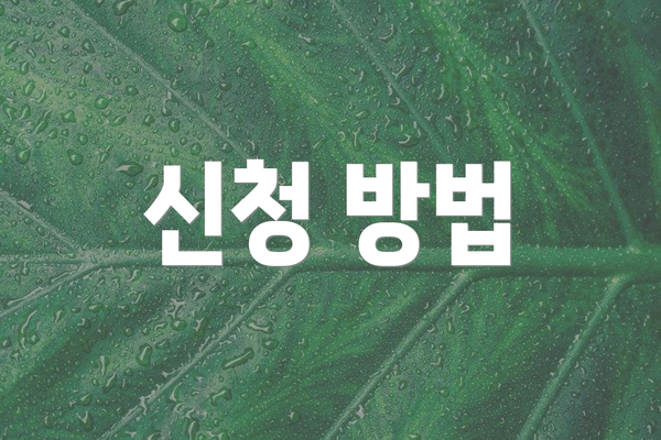 신청 방법