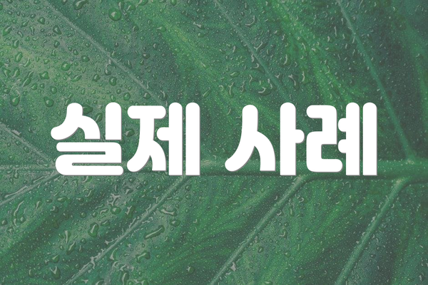 실제 사례