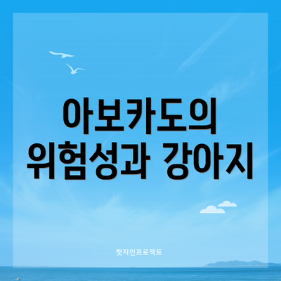 아보카도의 위험성과 강아지