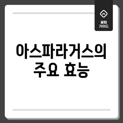 아스파라거스의 주요 효능