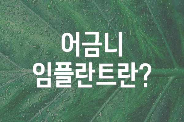 어금니 임플란트란?