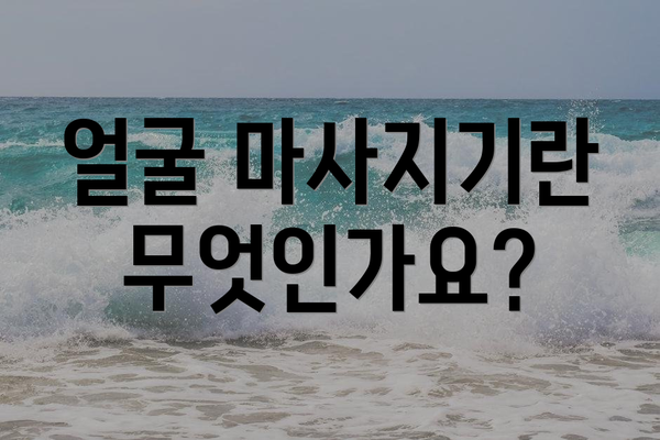 얼굴 마사지기란 무엇인가요?