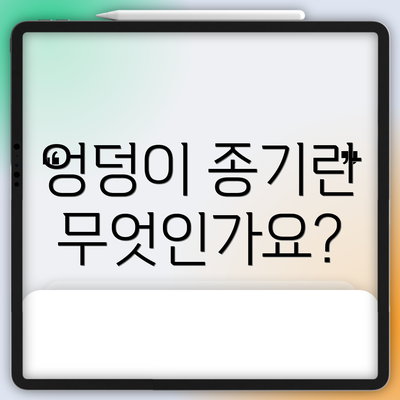 엉덩이 종기란 무엇인가요?