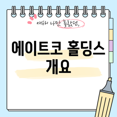 에이트코 홀딩스 개요