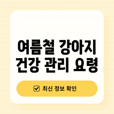 여름철 강아지 건강 관리 요령