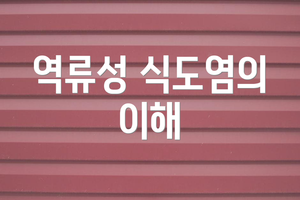 역류성 식도염의 이해