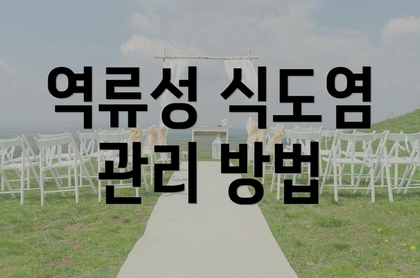 역류성 식도염 관리 방법