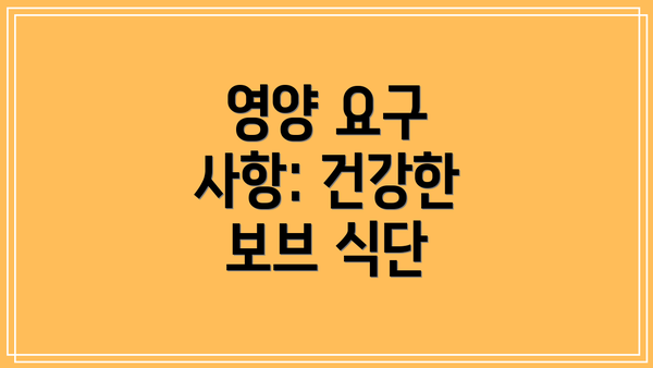 영양 요구 사항: 건강한 보브 식단