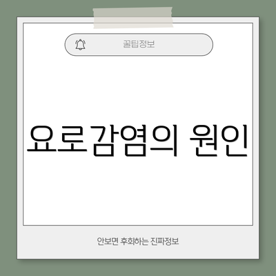 요로감염의 원인