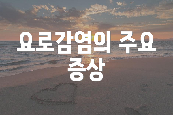 요로감염의 주요 증상