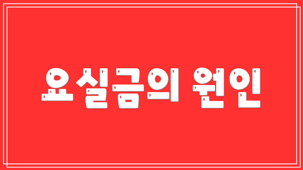 요실금의 원인