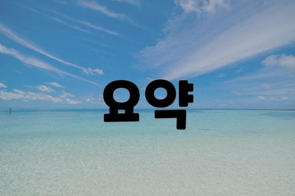 요약