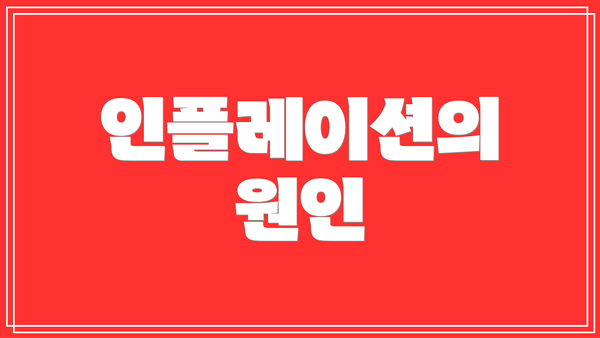 인플레이션의 원인