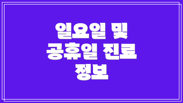 일요일 및 공휴일 진료 정보