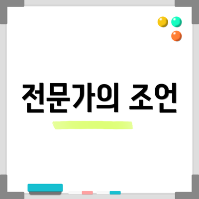 전문가의 조언