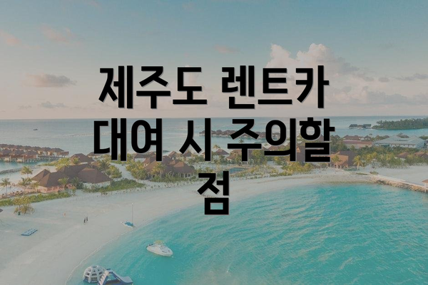제주도 렌트카 대여 시 주의할 점