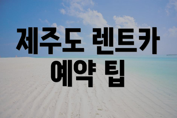 제주도 렌트카 예약 팁