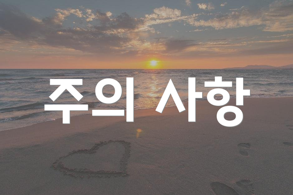 주의 사항
