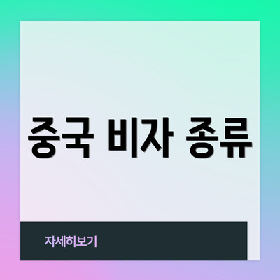 중국 비자 종류