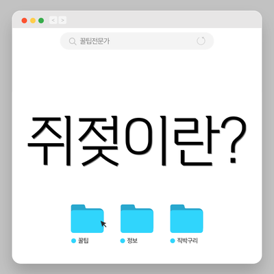 쥐젖이란?