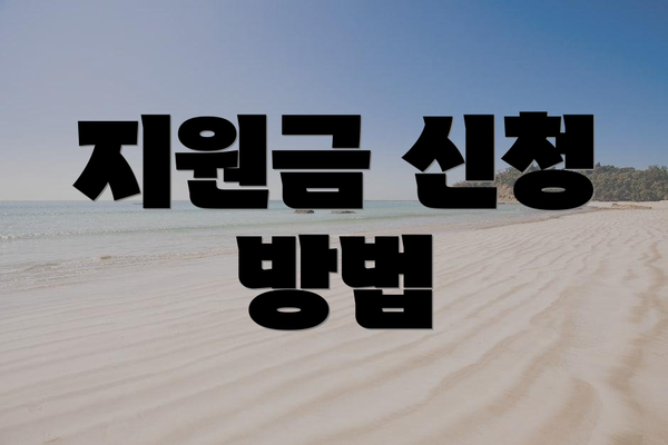 지원금 신청 방법