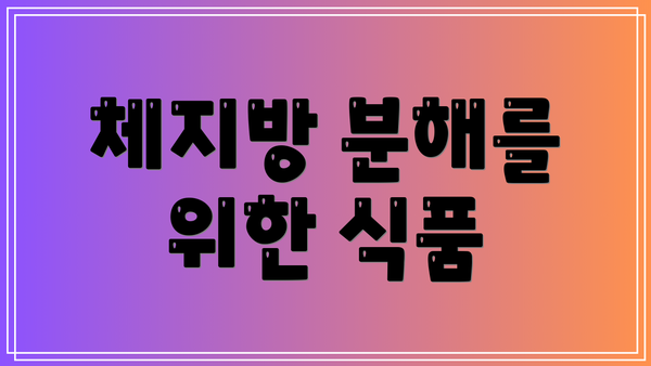 체지방 분해를 위한 식품