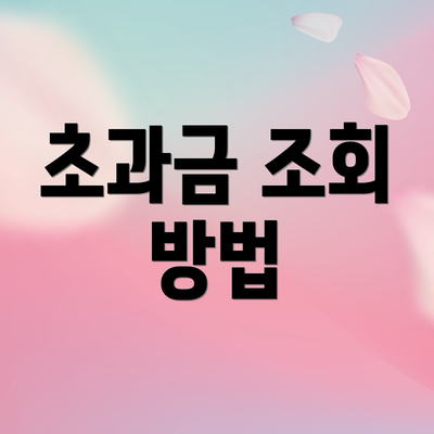 초과금 조회 방법