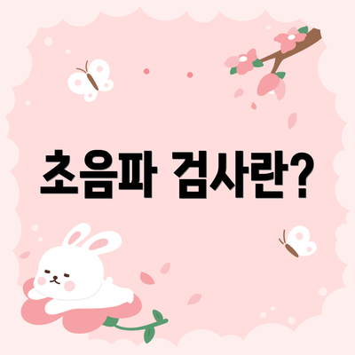 초음파 검사란?