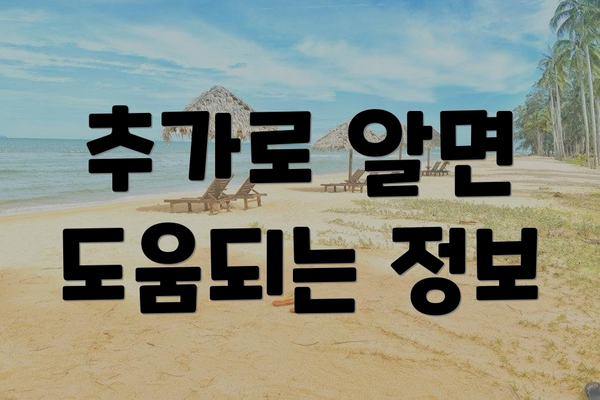 추가로 알면 도움되는 정보