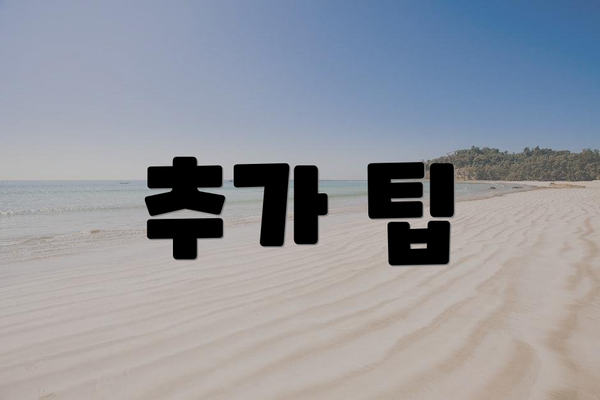 추가 팁