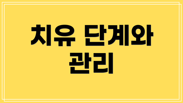 치유 단계와 관리