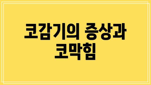 코감기의 증상과 코막힘