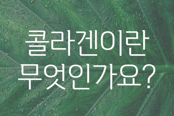 콜라겐이란 무엇인가요?